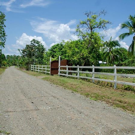 Hospedaje Y Alojamiento Cabanas Don Beto La Palma 外观 照片