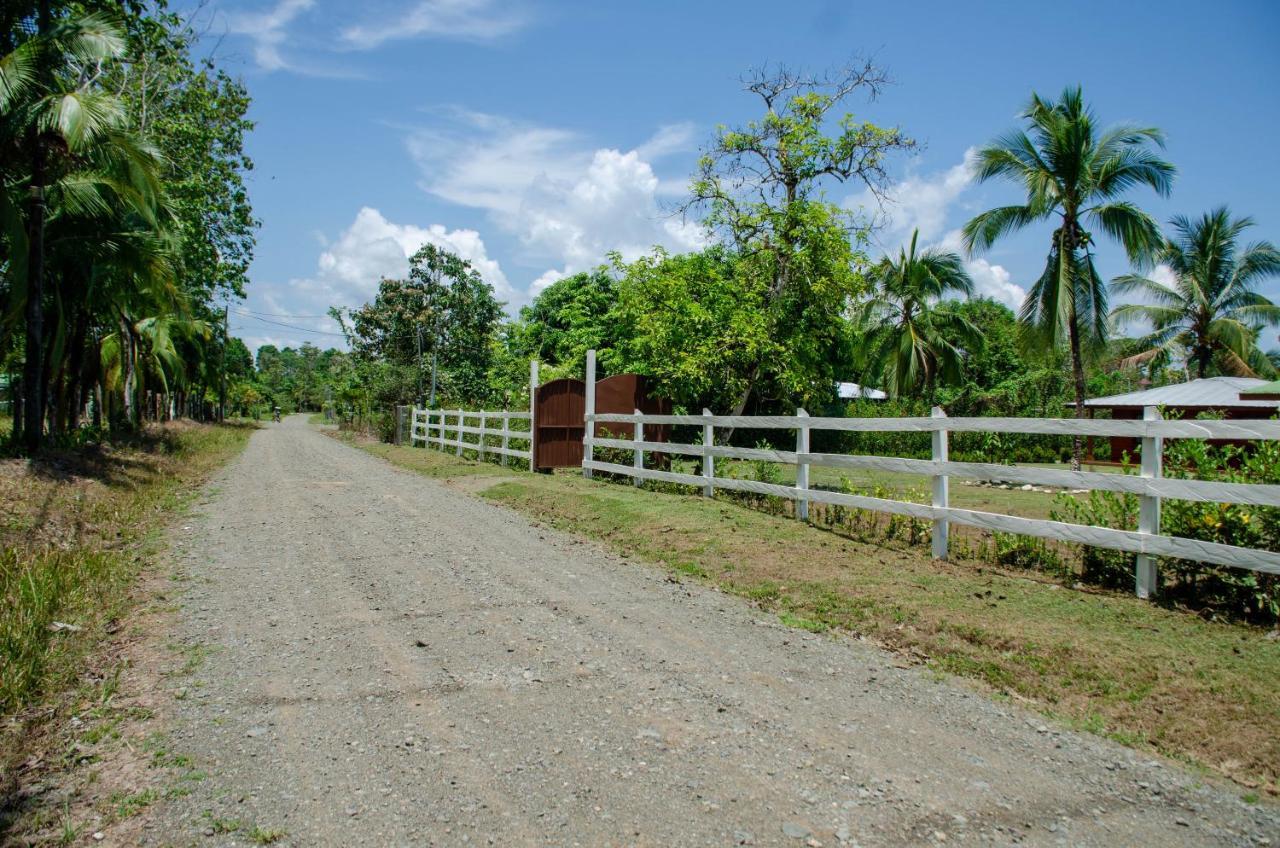 Hospedaje Y Alojamiento Cabanas Don Beto La Palma 外观 照片